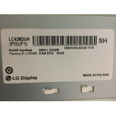 LC420DUH-PG-F1 - 42UB730 LG TV KIRIK PANEL KASA
